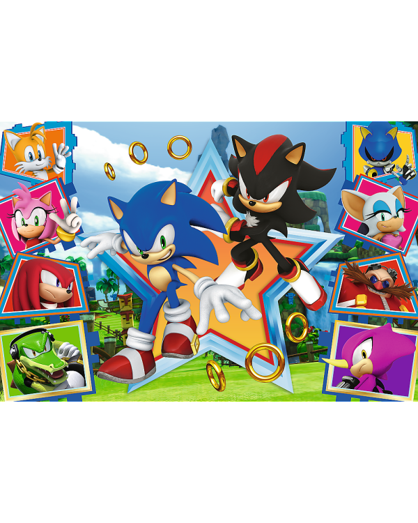 TREFL SONIC Пазл Соник, 100 шт.