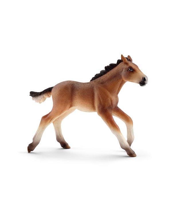 Дополнительное изображение книги «SCHLEICH FARM WORLD Жеребенок Породы Мустанг»
