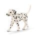 Дополнительное изображение книги «SCHLEICH FARM WORLD Кобель Породы Далматин»