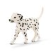 Обложка книги «SCHLEICH FARM WORLD Кобель Породы Далматин»