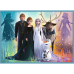 Дополнительное изображение книги «TREFL FROZEN Комплект пазлов 4в1»