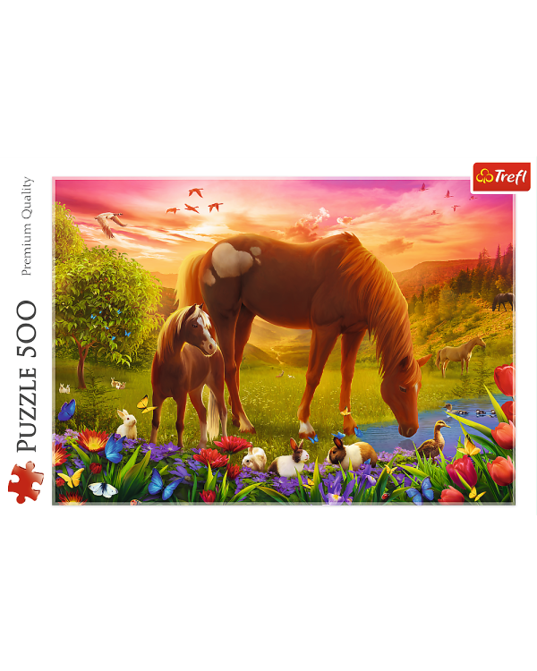TREFL Пазл Лошади, 500 шт.