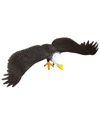 Растягивающаяся игрушка, орел