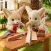 Дополнительное изображение книги «SYLVANIAN FAMILIES фигурки Семья лисичек»