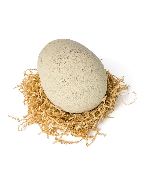 PRIMAL HATCH Интерактивная игрушка Вылупляющийся динозавр