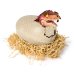 PRIMAL HATCH Интерактивная игрушка Вылупляющийся динозавр