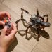 HEX BOTS Интерактивная игрушка Tarantula