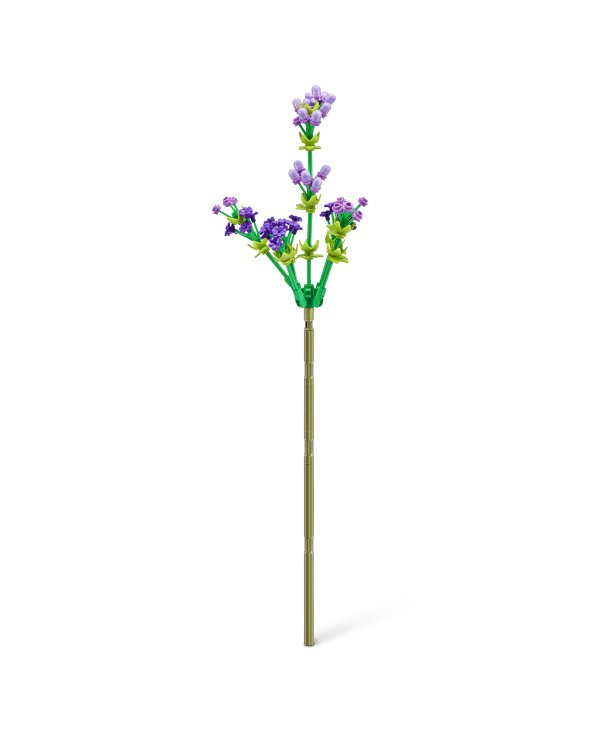 MAX ROSE Конструктор в капсуле