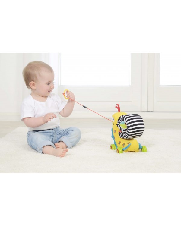 DOLCE TOYS Развивающая мягкая игрушка Разноцветная Улитка