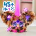 FURBY интерактивный питомец Furblets
