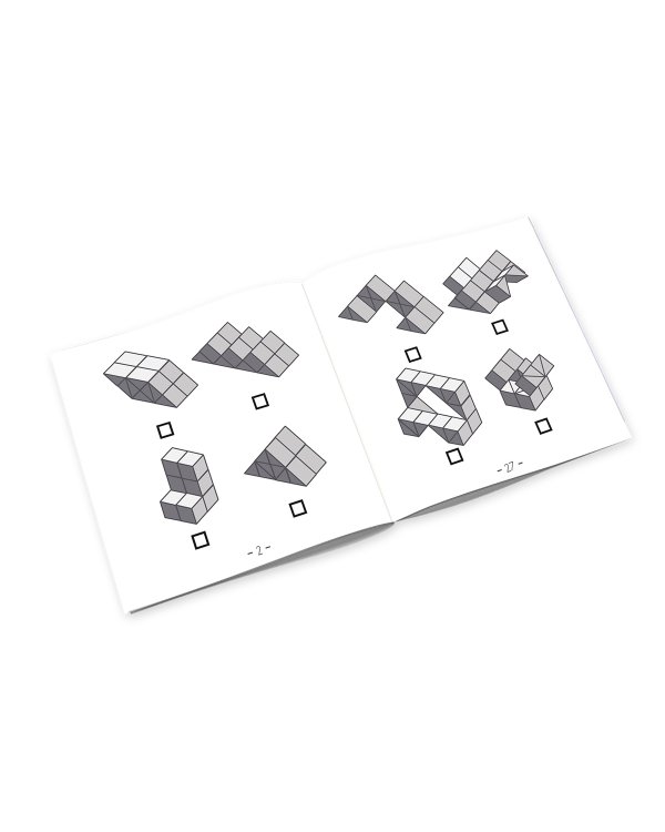 RECENT TOYS логическая игра "Динакуб"