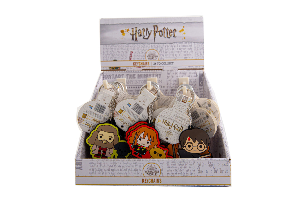 Обложка книги «HARRY POTTER 2D Брелок»