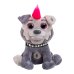 EOLO PUNKYMALS Игги