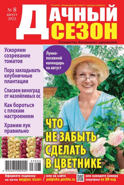 Дачный сезон-советы читателей